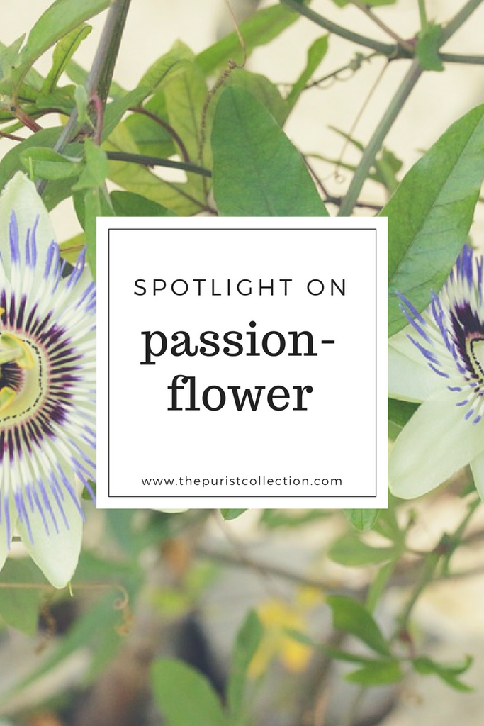 Spotlight on: Passionflower